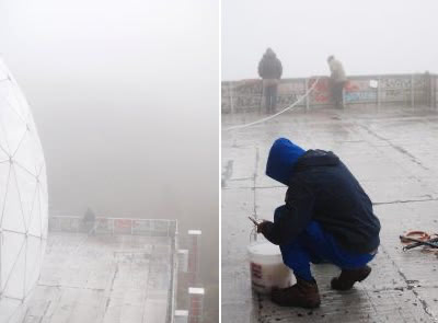 Animae Dementia - painting berlin