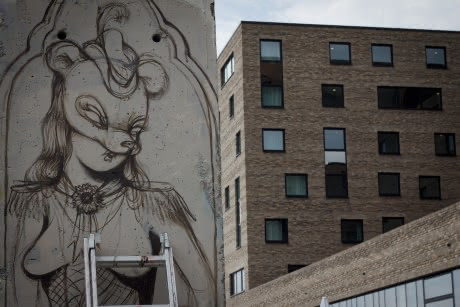 miss van berlin wall