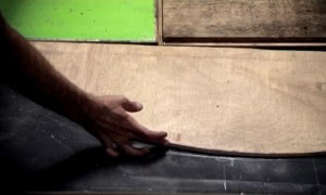 Bien Urbain Palisade, Nelio et al