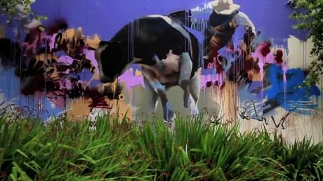 Conor Harrington Murals in Ireland