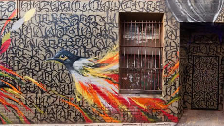 Everfresh & Friends Fighting Extinction