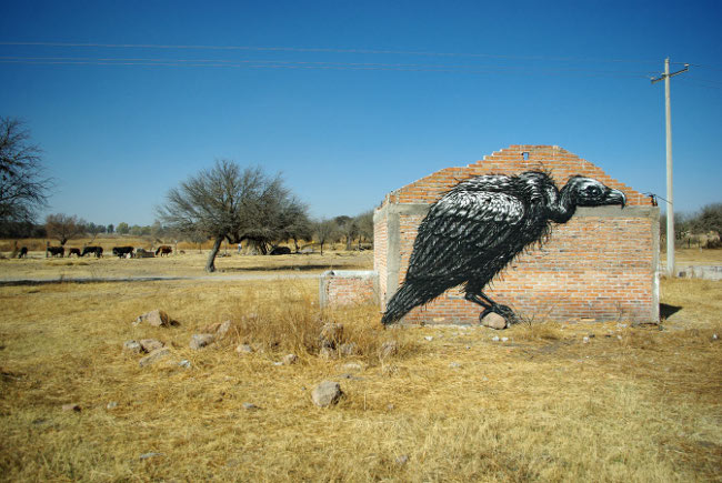 roa mexico