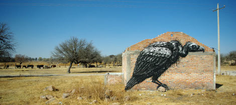 Murals: Roa in Mexico