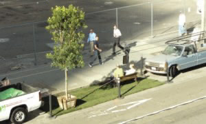 Reclaim the Streets - Parking Day 2011