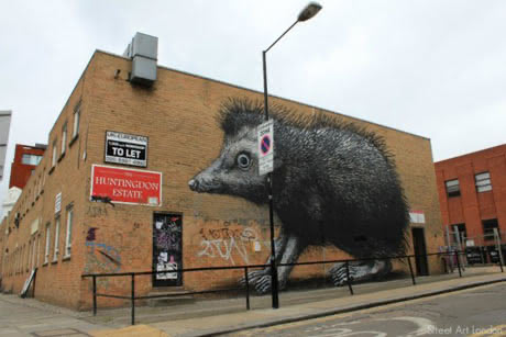 New Huge Roa Hedgehog in London