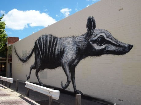 roa animal graffiti