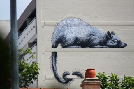 roa australia