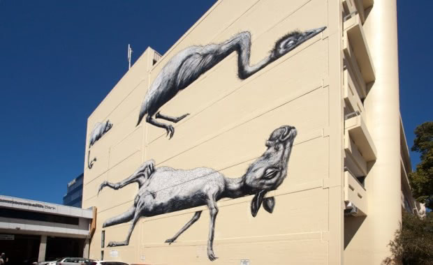 Roa in Western Australia