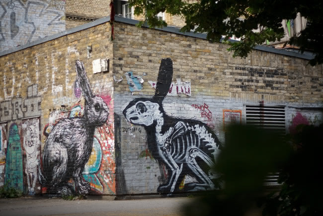 roa animal graffiti