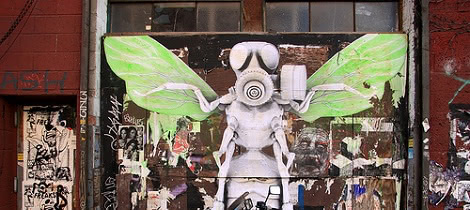 Digital Graffiti, Rooftop Burner Fund & Interviews