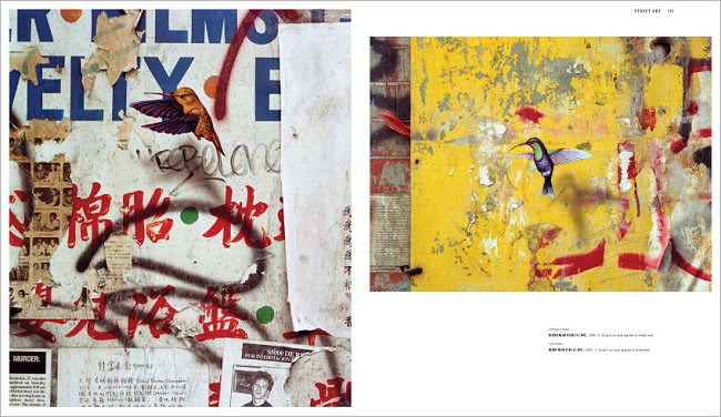 dan witz - in plain view