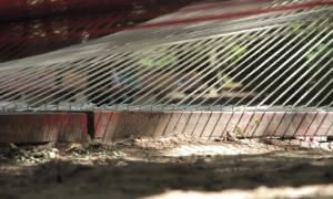 Yarn-Bombing Berlin: Moneyless, Hottea & Spidertag